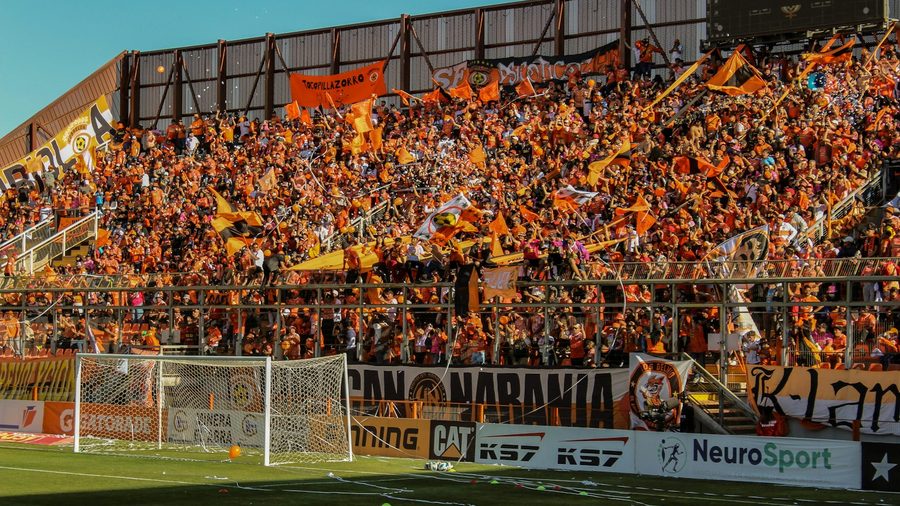 IM足球 APP — 营业执照与资质公示示意配图